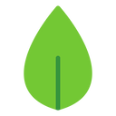 MongoDB
